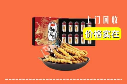 嘉峪关金昌回收冬虫夏草